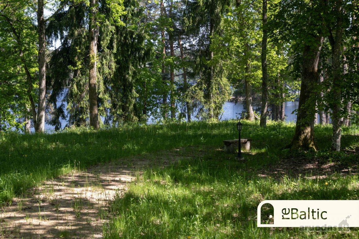 Parduodami trys namų valdos sklypai šalia - nuotraukos Nr. 17