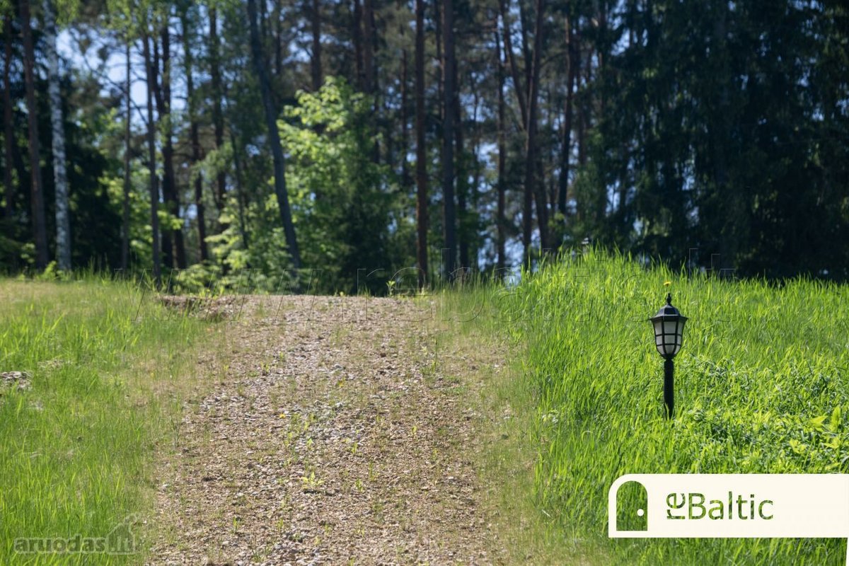 Parduodami trys namų valdos sklypai šalia - nuotraukos Nr. 16