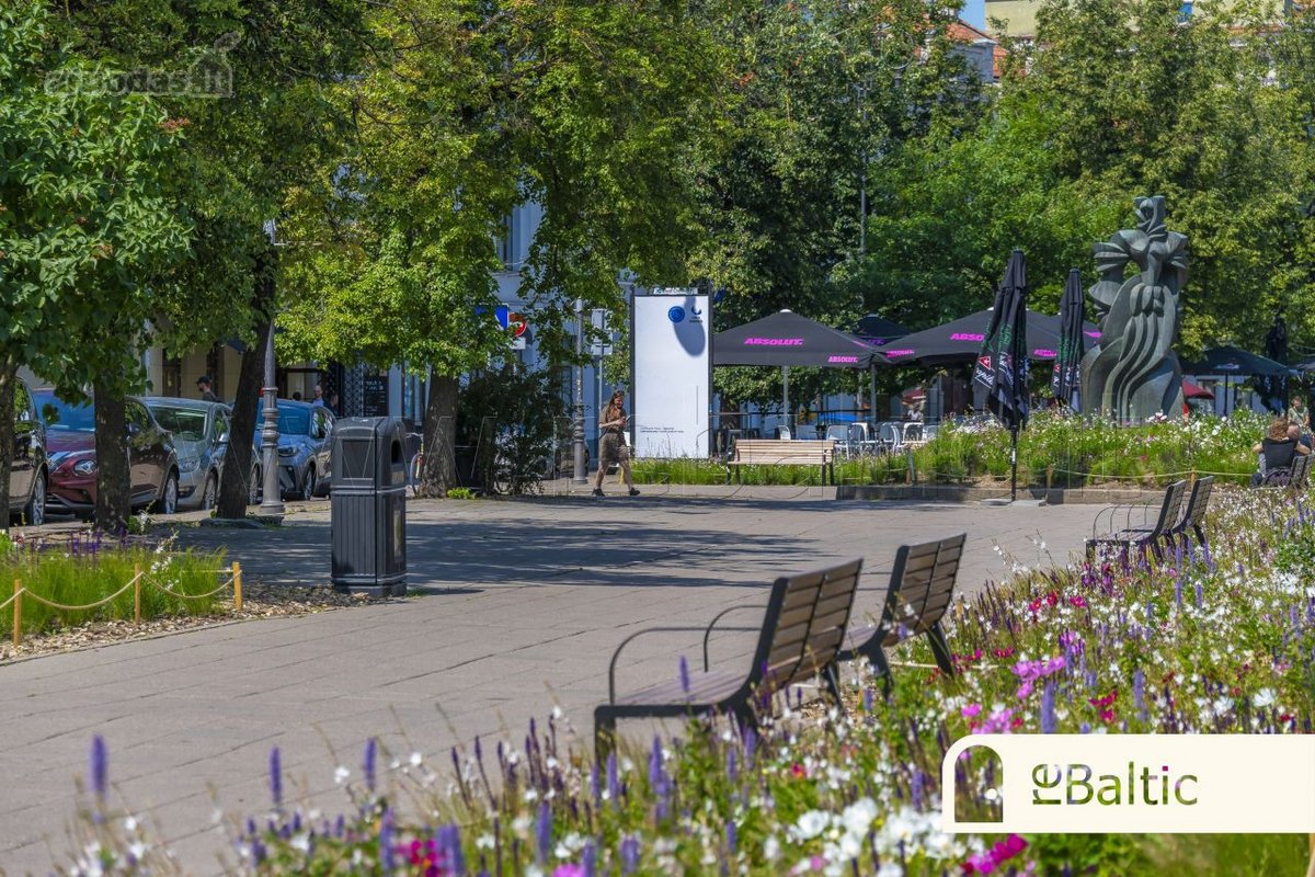 Erdvus trijų kambarių butas Senamiestyje su - nuotraukos Nr. 31