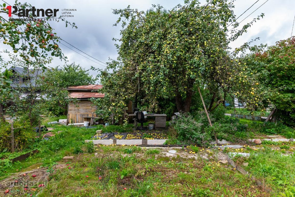 Parduodami du besiribojantys žemės sklypai, - nuotraukos Nr. 11