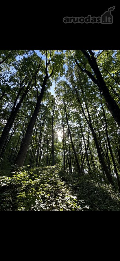 Išnuomojamas Visiškai Naujas 2 Kambarių Butas - nuotraukos Nr. 8