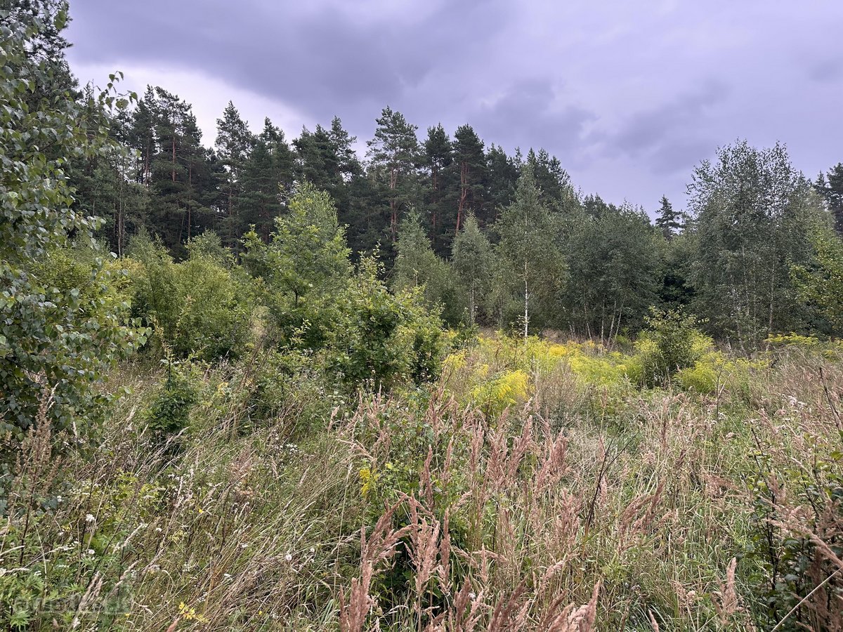 Parduodamas žemės ūkio sklypas 98a Vilniaus r - nuotraukos Nr. 3