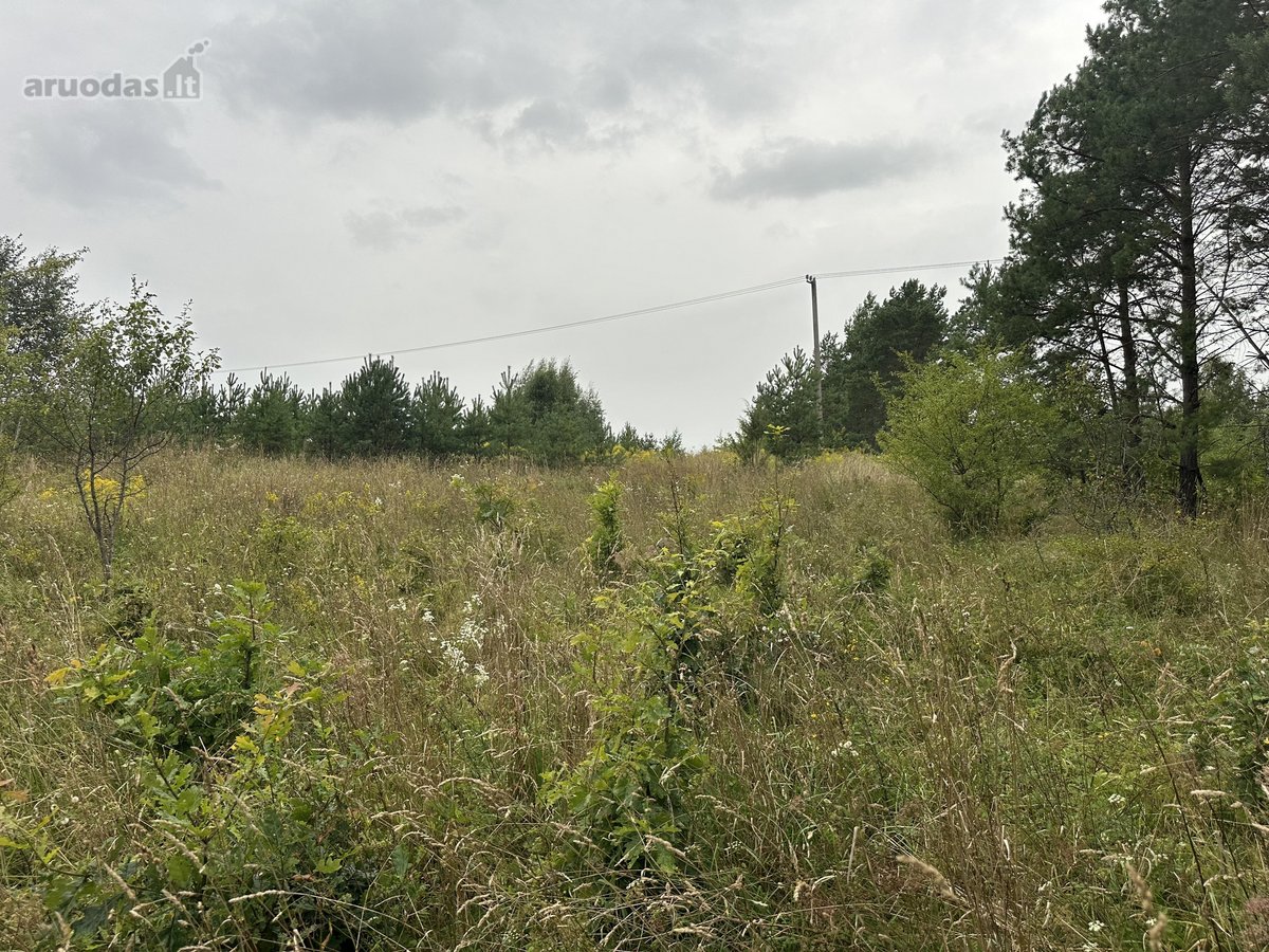 Parduodamas žemės ūkio sklypas 98a Vilniaus r - nuotraukos Nr. 6