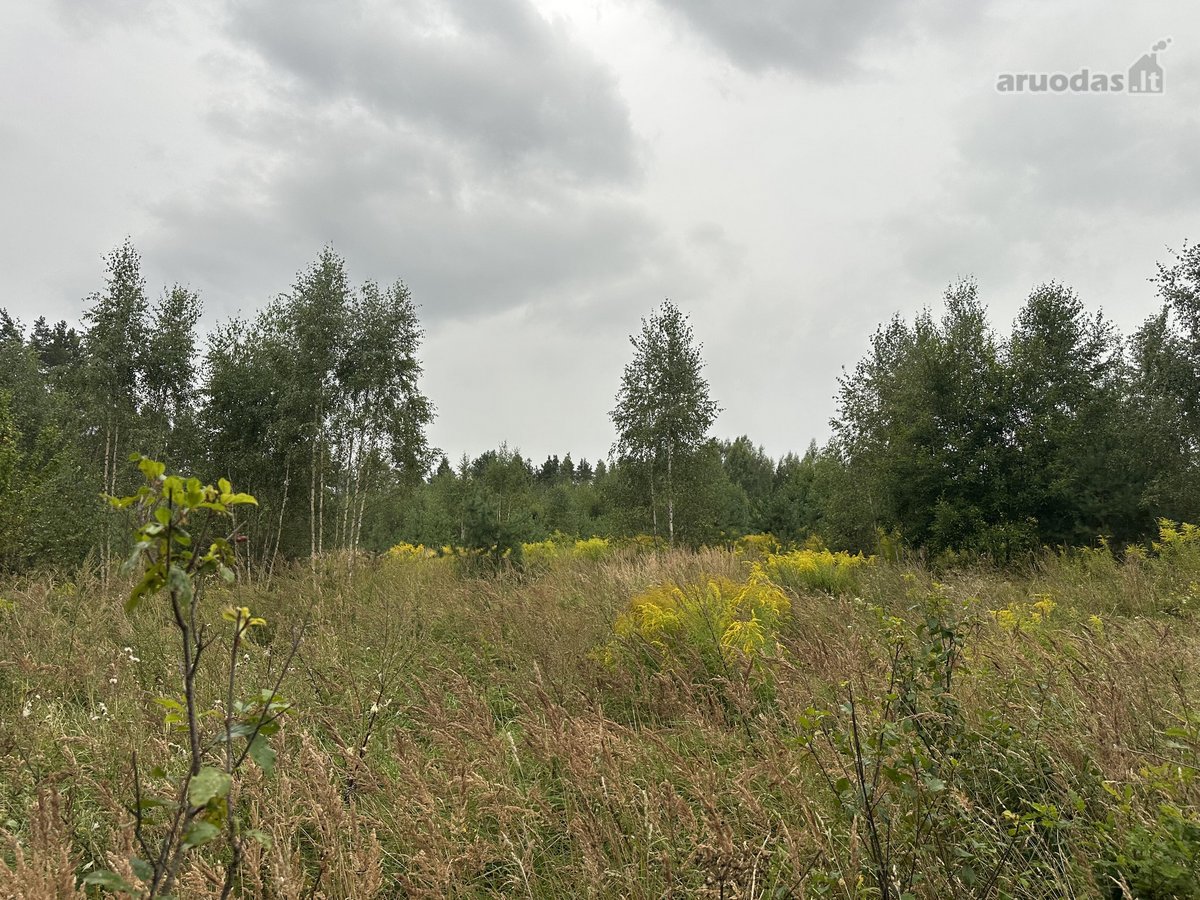 Parduodamas žemės ūkio sklypas 98a Vilniaus r - nuotraukos Nr. 4