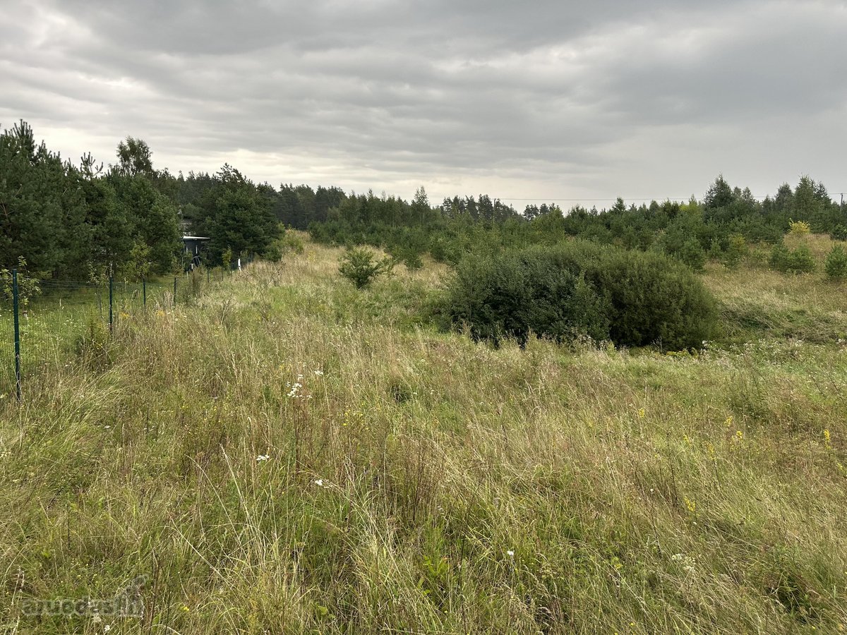 Parduodamas žemės ūkio sklypas 98a Vilniaus r - nuotraukos Nr. 5