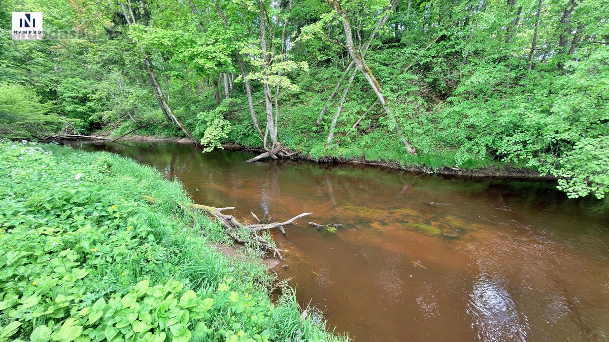 Širvintų rajone, Navasiolkų kaime, prie - nuotraukos Nr. 3
