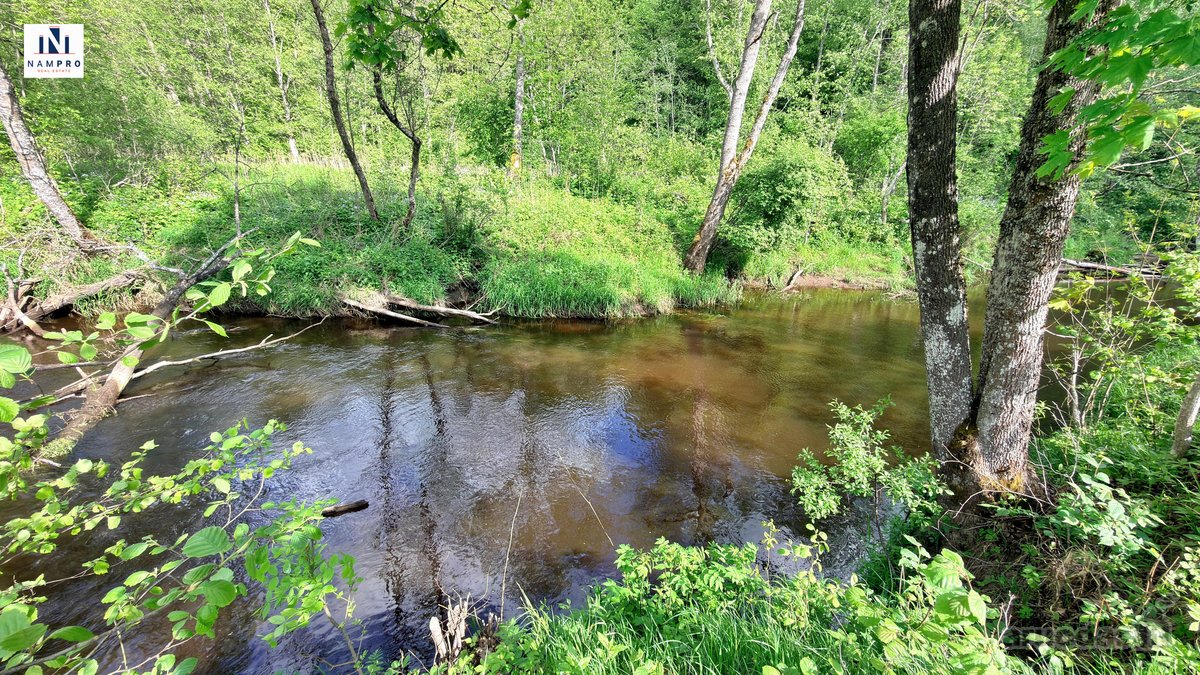 Širvintų rajone, Navasiolkų kaime, prie - nuotraukos Nr. 5