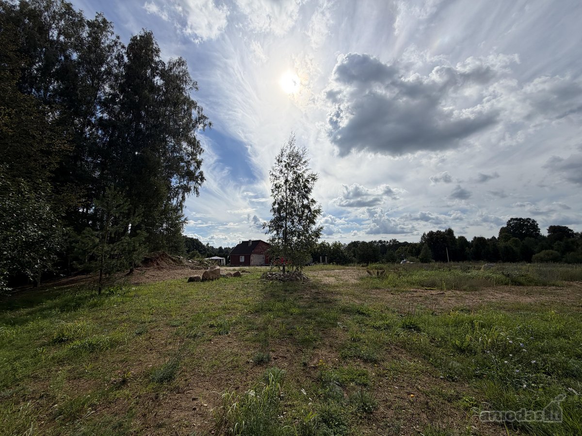 Sodyba su nuosavu mišku – 1,3 ha sklypas vos - nuotraukos Nr. 6