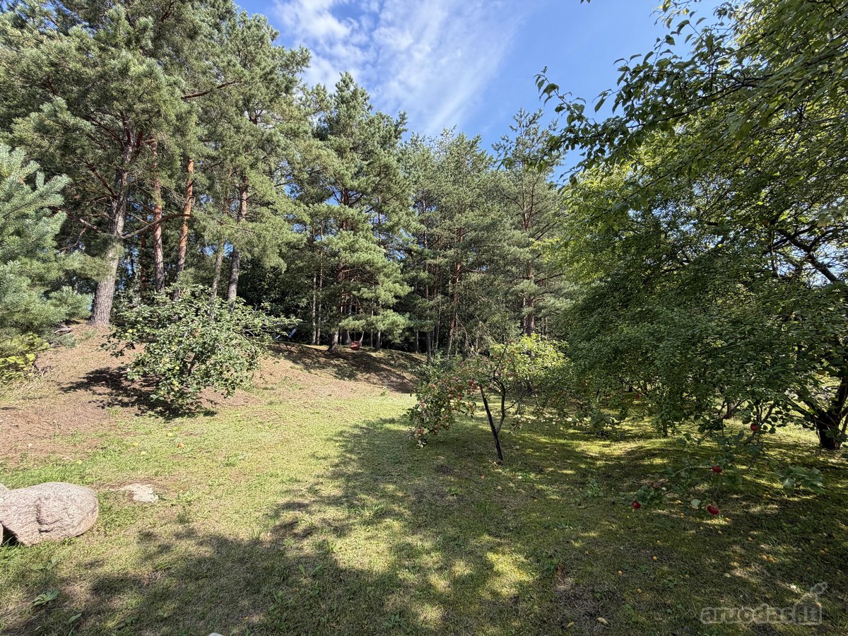 Sodyba su nuosavu mišku – 1,3 ha sklypas vos - nuotraukos Nr. 7