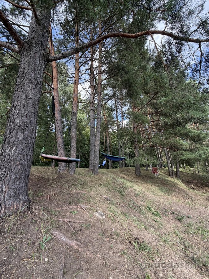 Sodyba su nuosavu mišku – 1,3 ha sklypas vos - nuotraukos Nr. 8