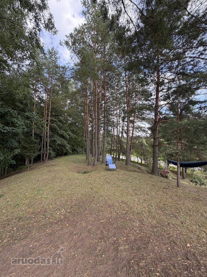 Sodyba su nuosavu mišku – 1,3 ha sklypas vos - nuotraukos Nr. 9