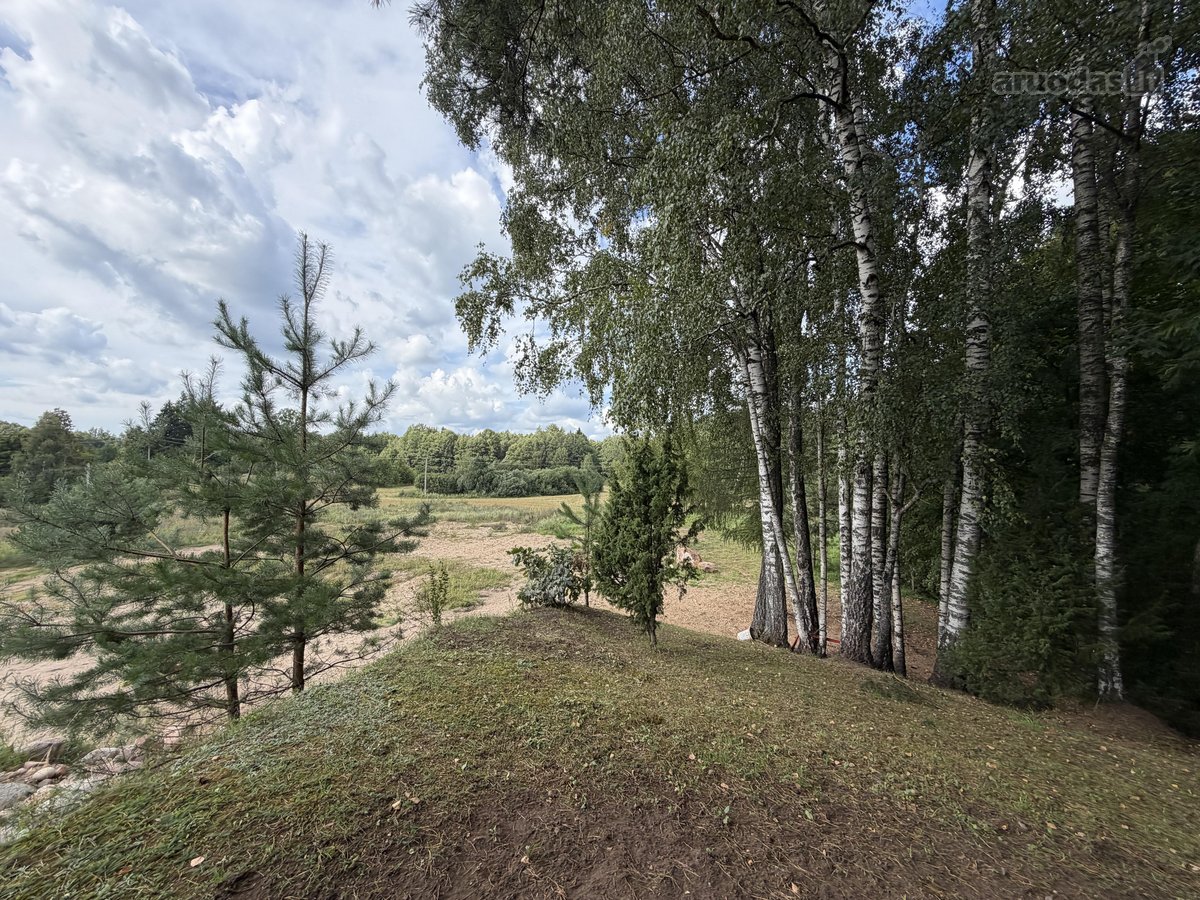 Sodyba su nuosavu mišku – 1,3 ha sklypas vos - nuotraukos Nr. 10