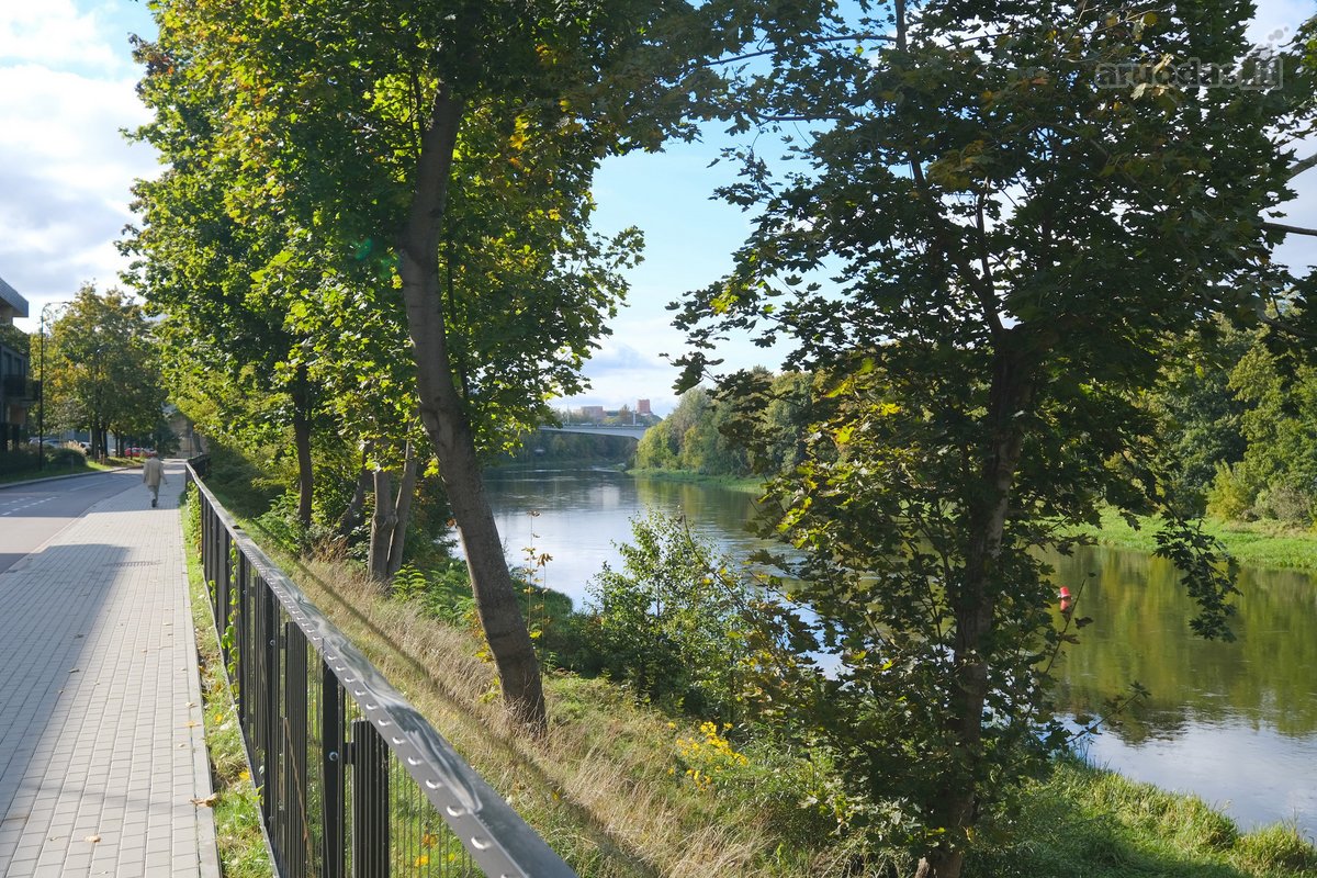 Puikioje vietoje nuomojamas 2 izoliuotų - nuotraukos Nr. 12