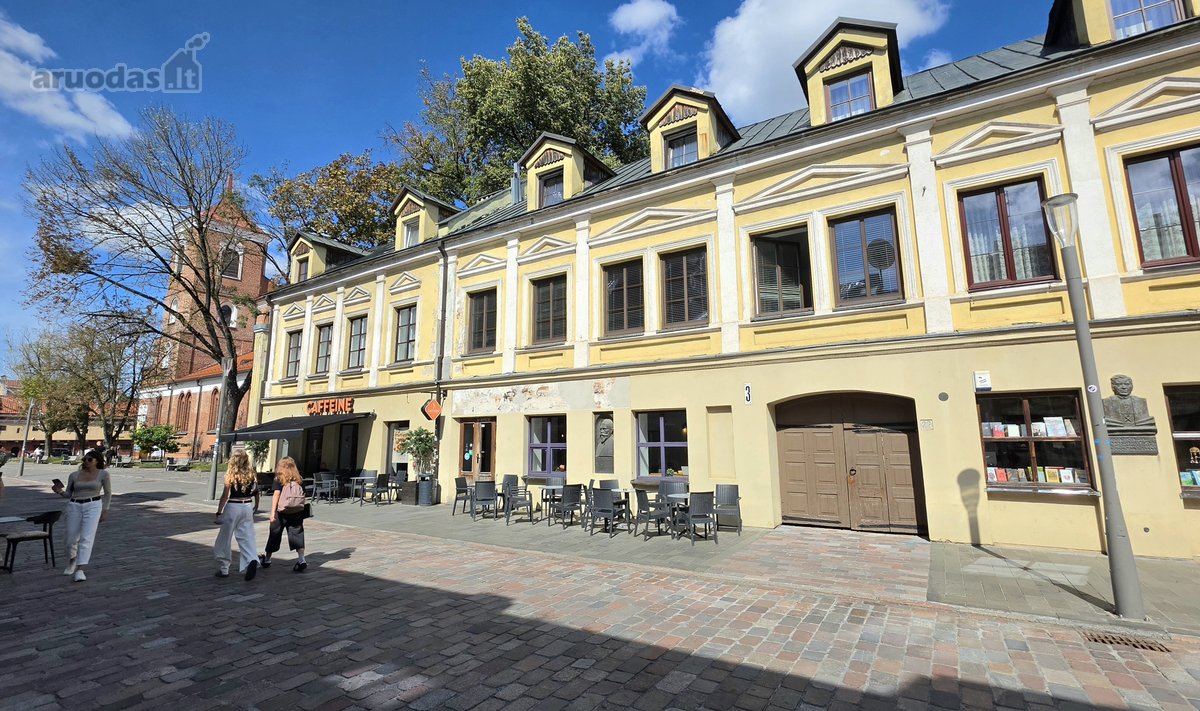 Vienoje geriausių Senamiesčio vietų - nuotraukos Nr. 30