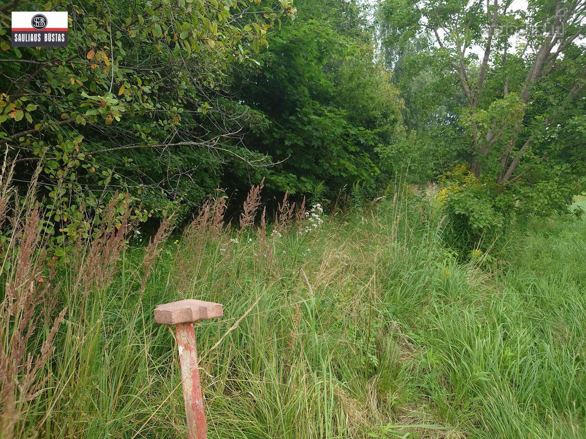 Parduodamas labai pigiai geroje vietoje 5,5 a - nuotraukos Nr. 15