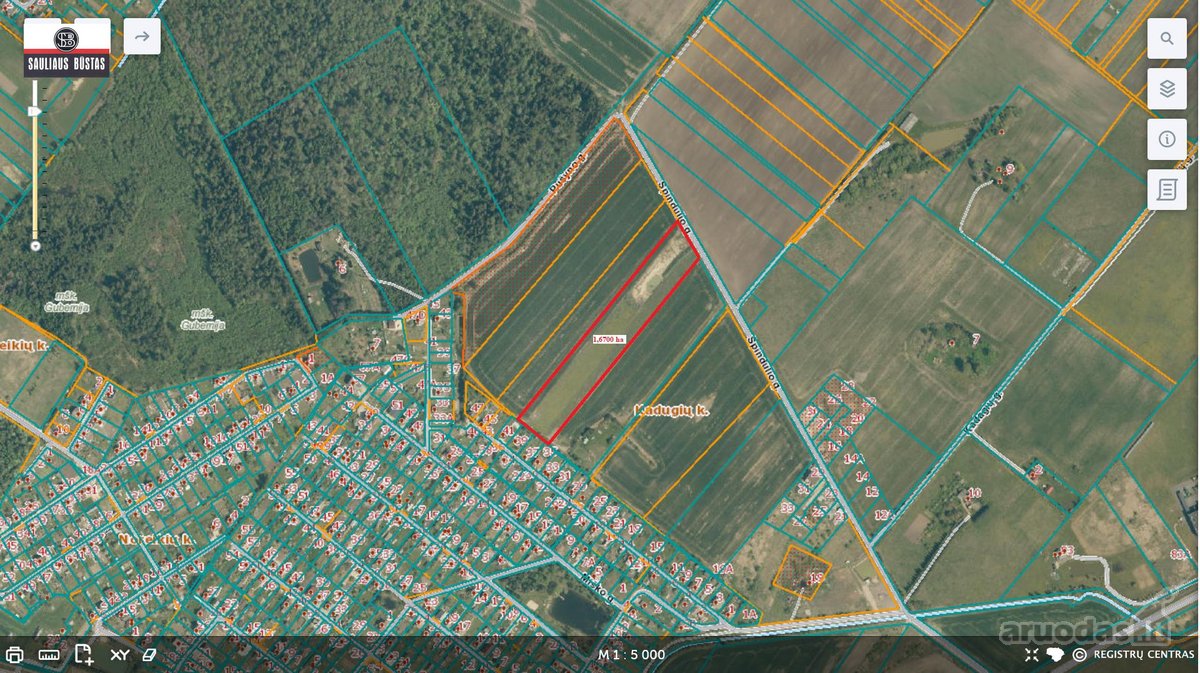Parduodamas pigiai 1,67 ha žemės sklypas - nuotraukos Nr. 6