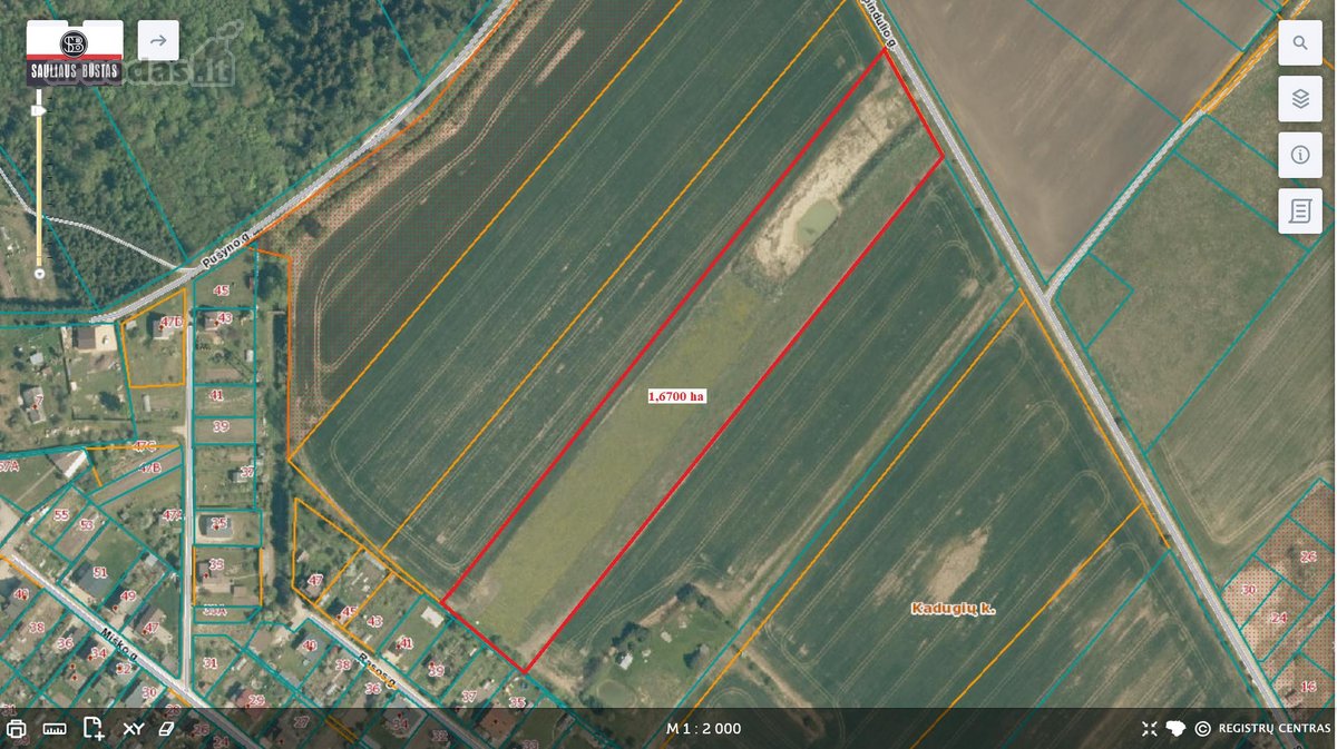Parduodamas pigiai 1,67 ha žemės sklypas - nuotraukos Nr. 3