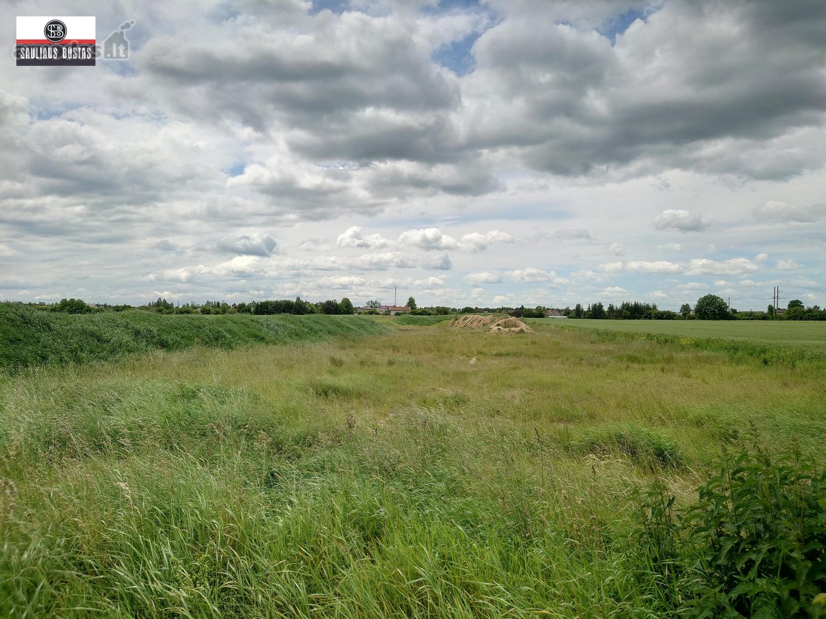 Parduodamas pigiai 1,67 ha žemės sklypas - nuotraukos Nr. 8