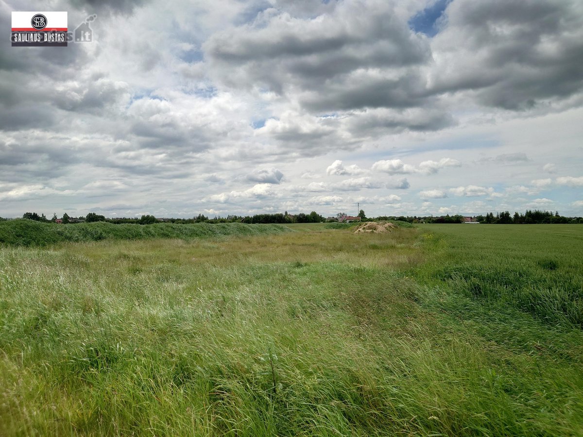 Parduodamas pigiai 1,67 ha žemės sklypas - nuotraukos Nr. 7