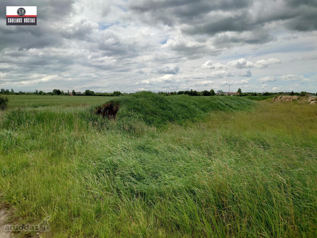 Parduodamas pigiai 1,67 ha žemės sklypas - nuotraukos Nr. 9