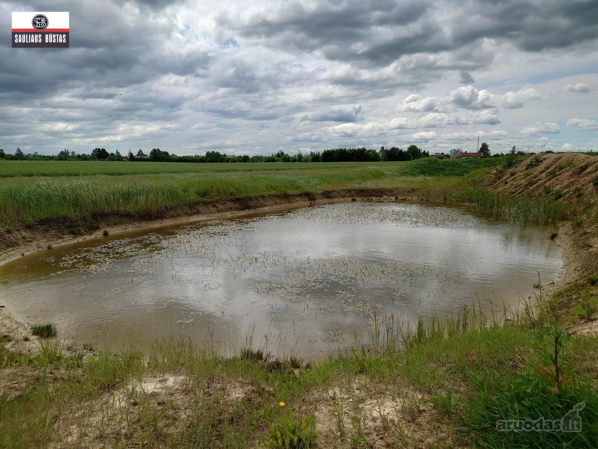 Parduodamas pigiai 1,67 ha žemės sklypas - nuotraukos Nr. 11