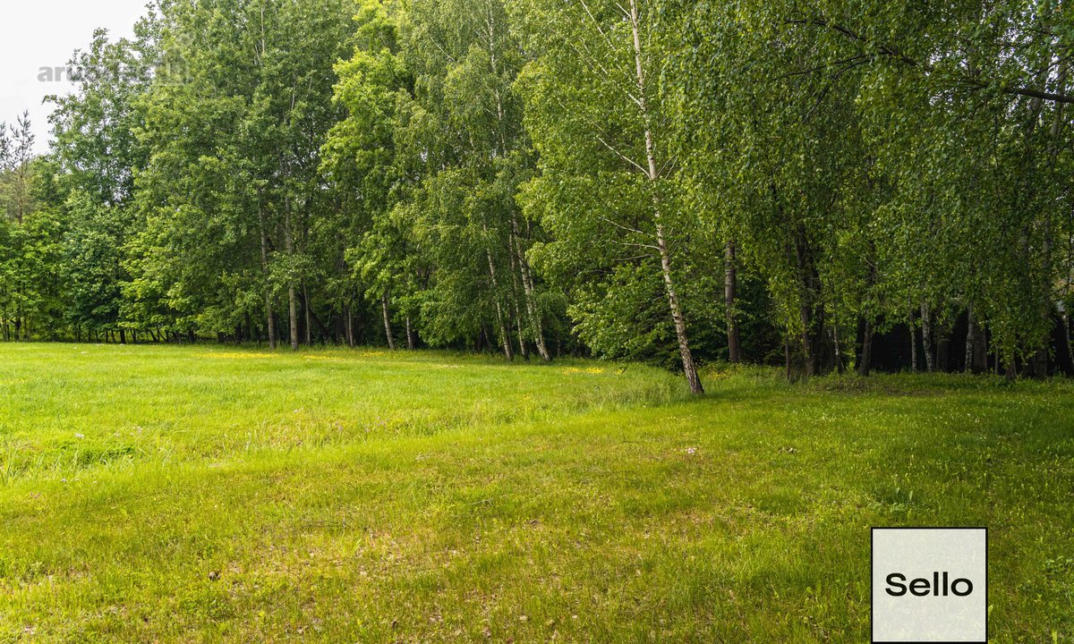 – Nt ekspertai be procentų - nuotraukos Nr. 30