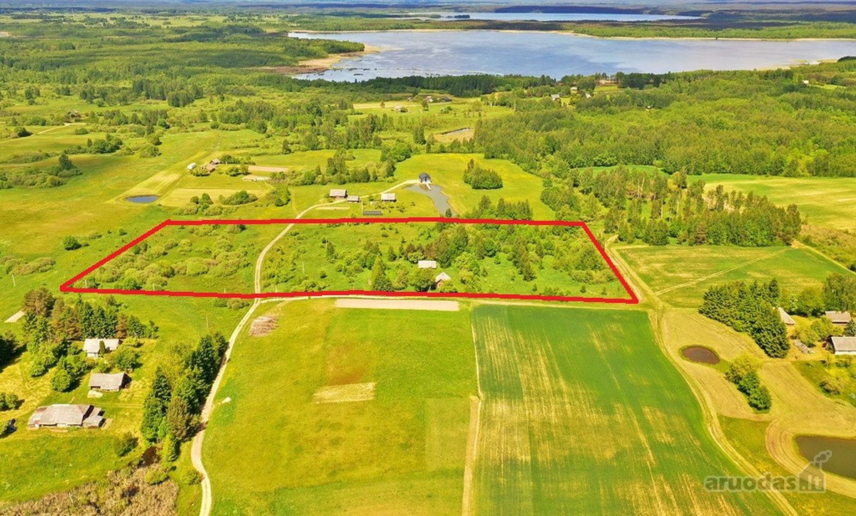 Kalvų, Klonių Ir Miškų Apsuptyje, Labanoro - nuotraukos Nr. 2