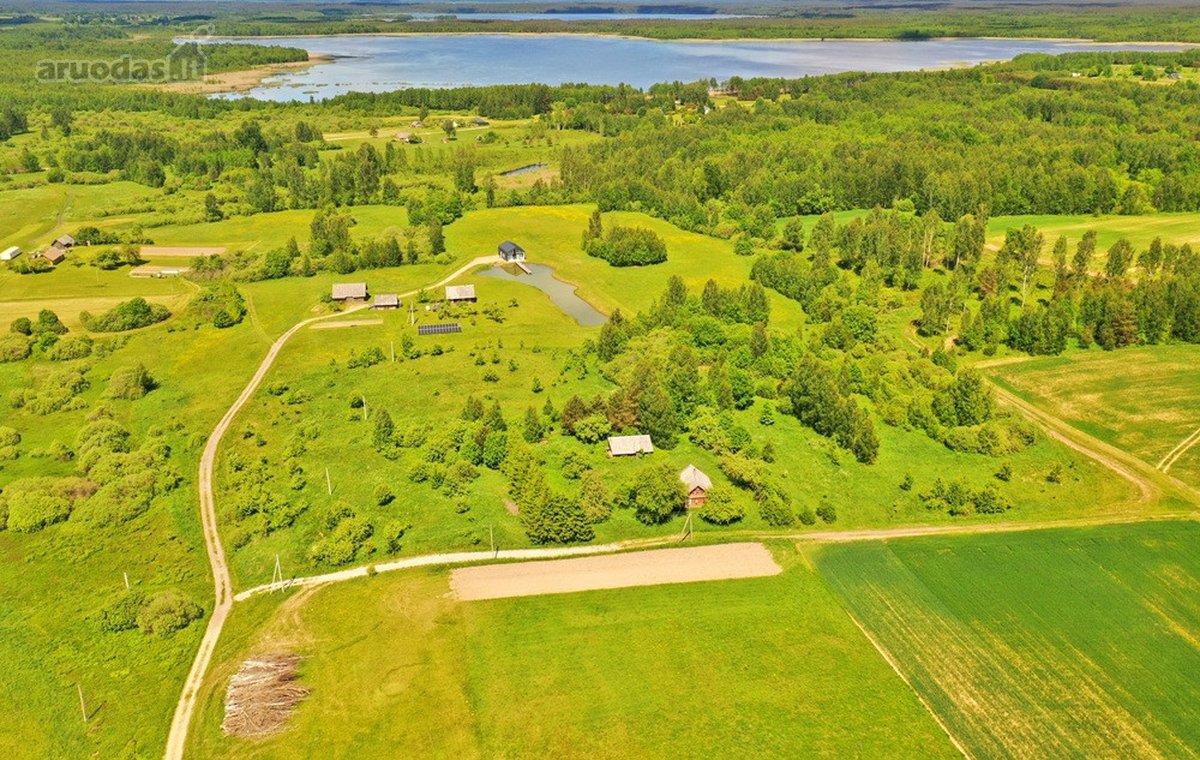 Kalvų, Klonių Ir Miškų Apsuptyje, Labanoro - nuotraukos Nr. 3