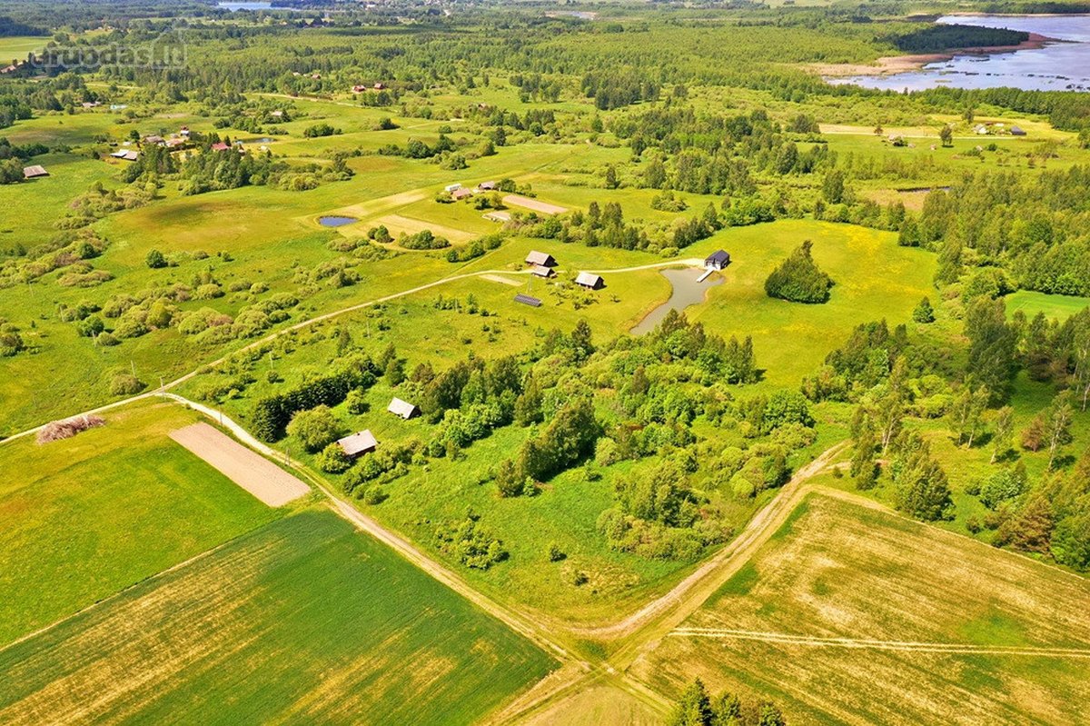 Kalvų, Klonių Ir Miškų Apsuptyje, Labanoro - nuotraukos Nr. 4