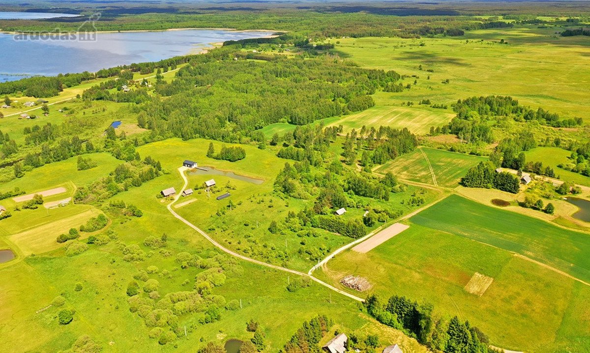 Kalvų, Klonių Ir Miškų Apsuptyje, Labanoro - nuotraukos Nr. 5