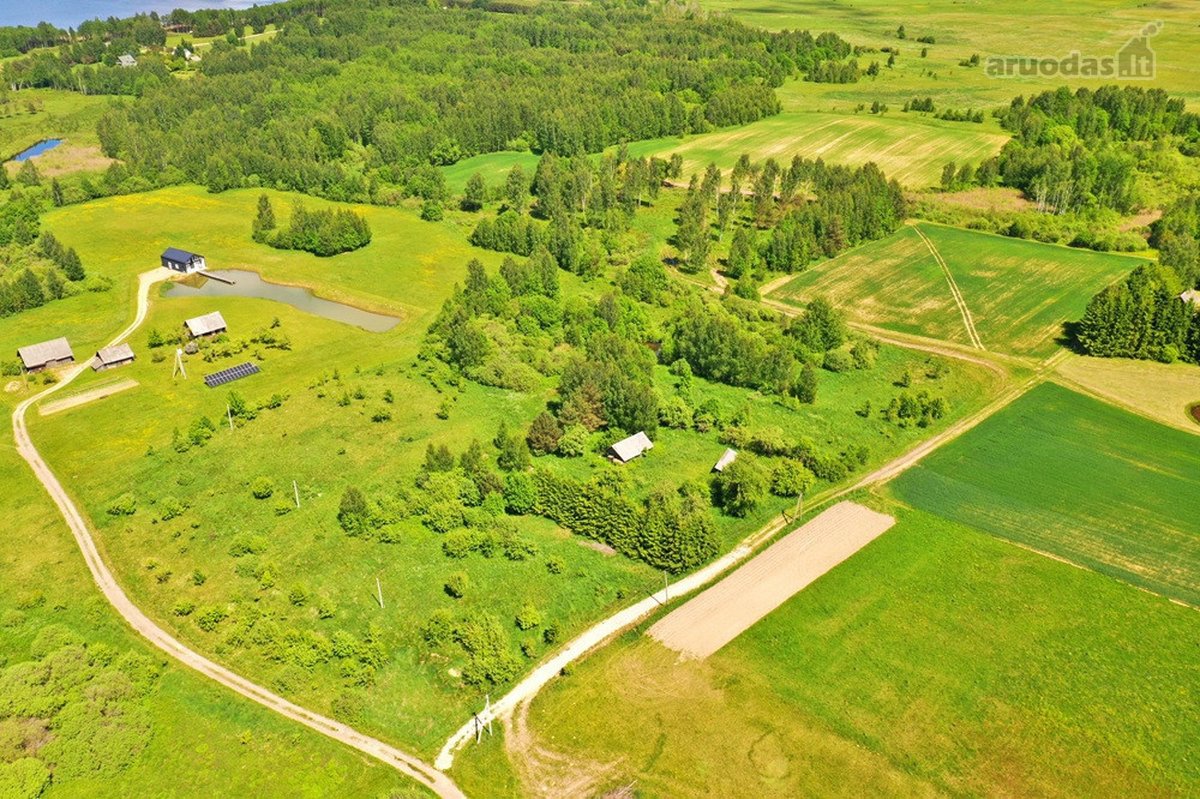 Kalvų, Klonių Ir Miškų Apsuptyje, Labanoro - nuotraukos Nr. 6