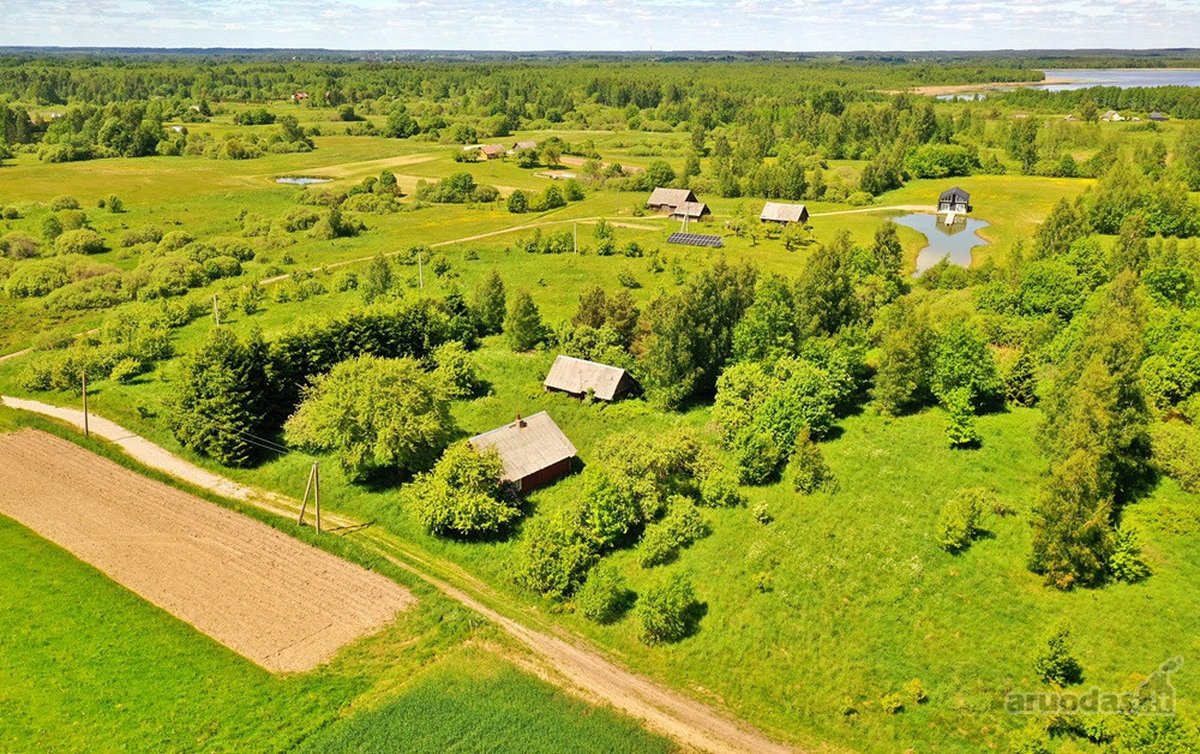 Kalvų, Klonių Ir Miškų Apsuptyje, Labanoro - nuotraukos Nr. 7