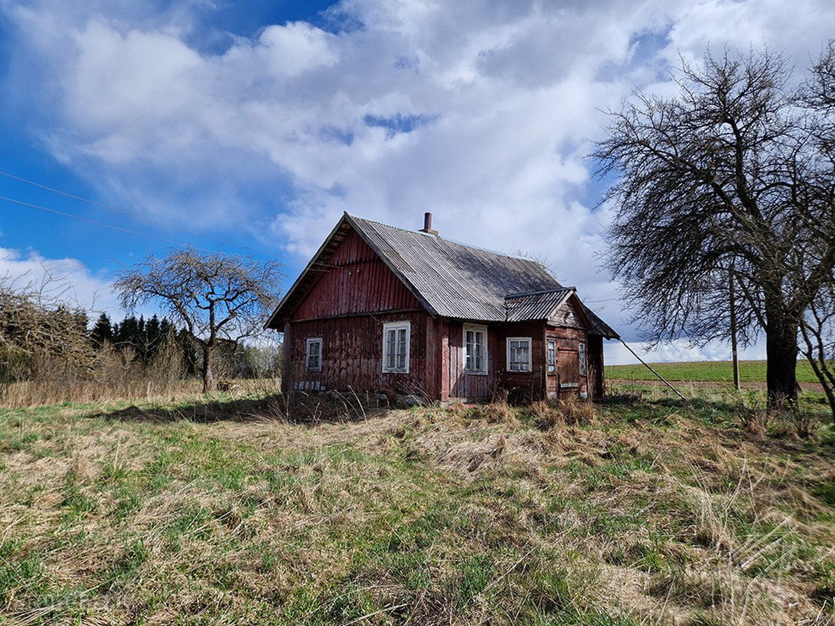 Kalvų, Klonių Ir Miškų Apsuptyje, Labanoro - nuotraukos Nr. 8