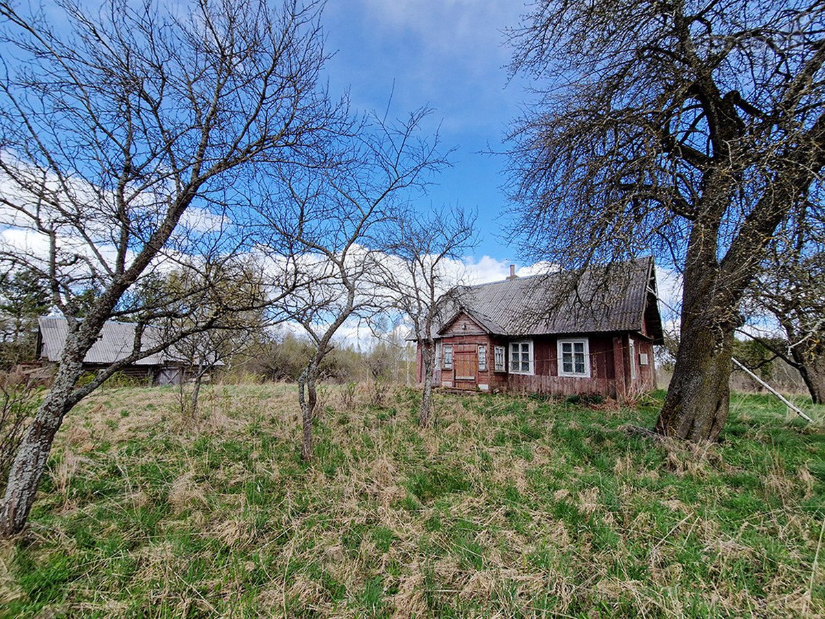 Kalvų, Klonių Ir Miškų Apsuptyje, Labanoro - nuotraukos Nr. 10