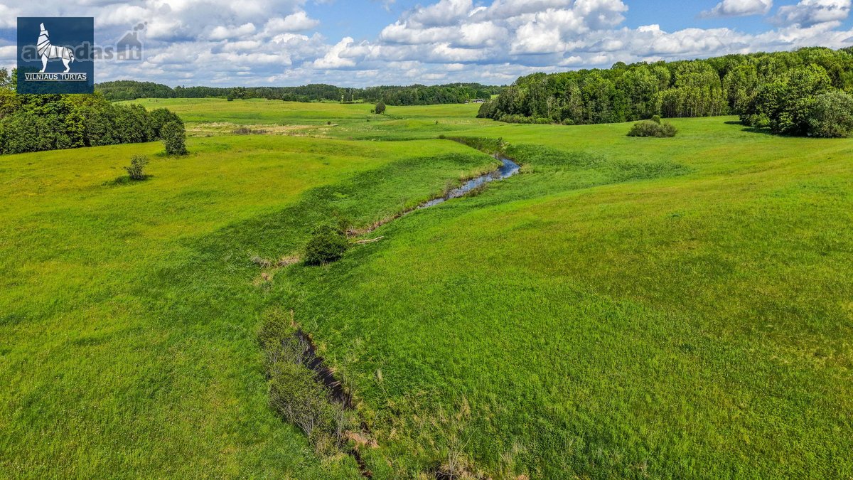 Parduodamas Erdvus 2.8919 Ha Žemės Sklypas - nuotraukos Nr. 14