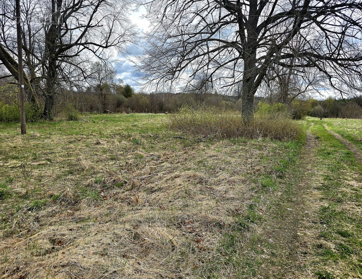 Parduodame 0.3 hektaro kitos žemės ūkio - nuotraukos Nr. 6