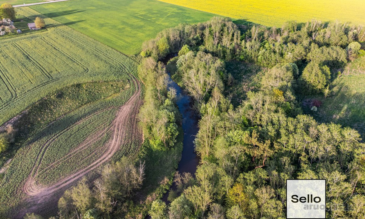  – Nt ekspertai be procentų - nuotraukos Nr. 44