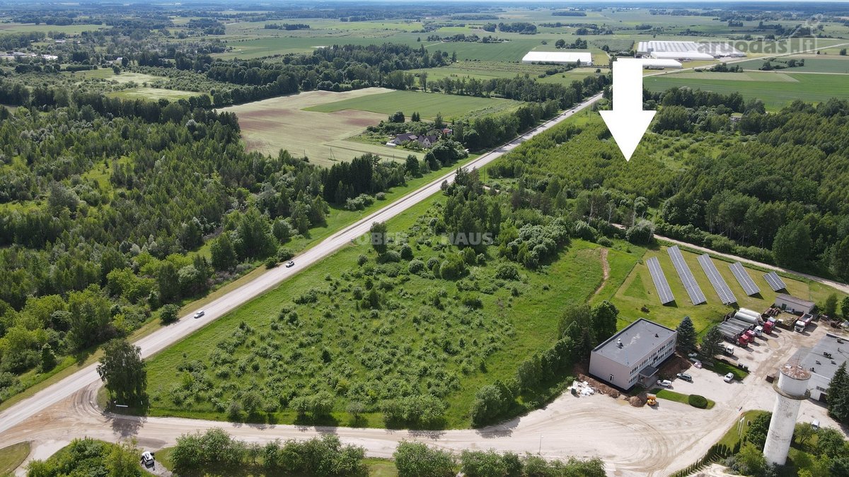 Parduodamas 3,6ha žemės ūkio paskirties - nuotraukos Nr. 2