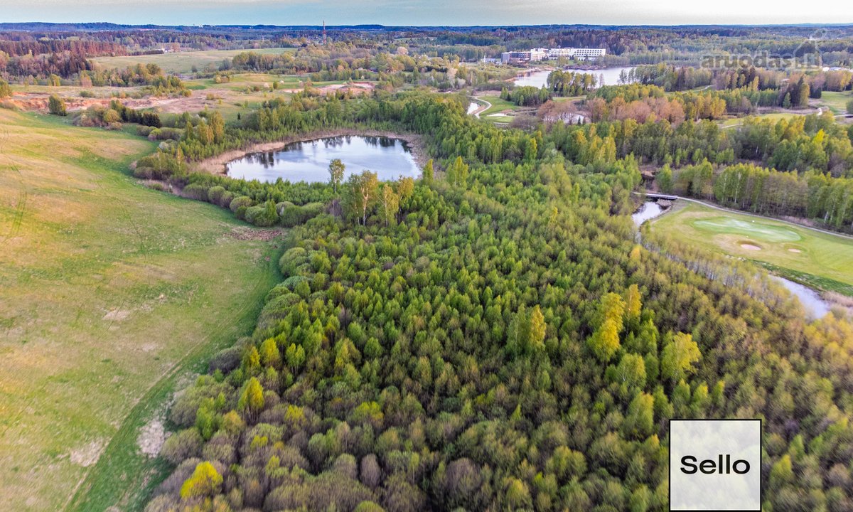  – Nt ekspertai be procentų - nuotraukos Nr. 24