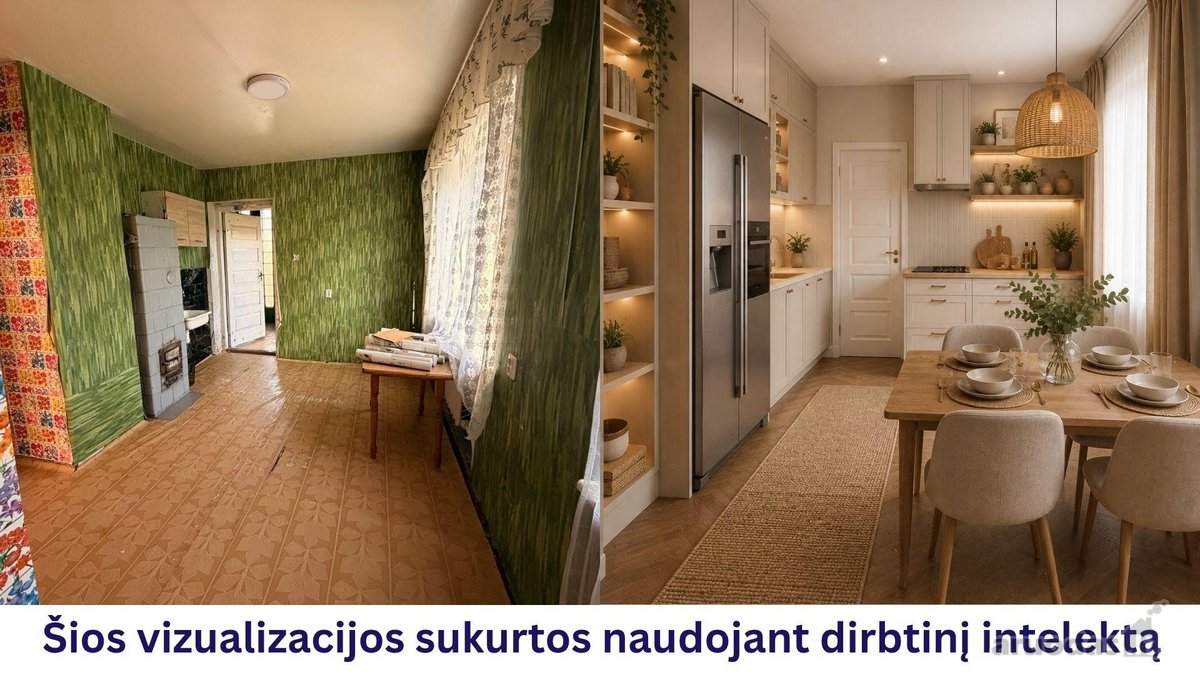 Birštone, buvusio Birštono vienkiemio - nuotraukos Nr. 9