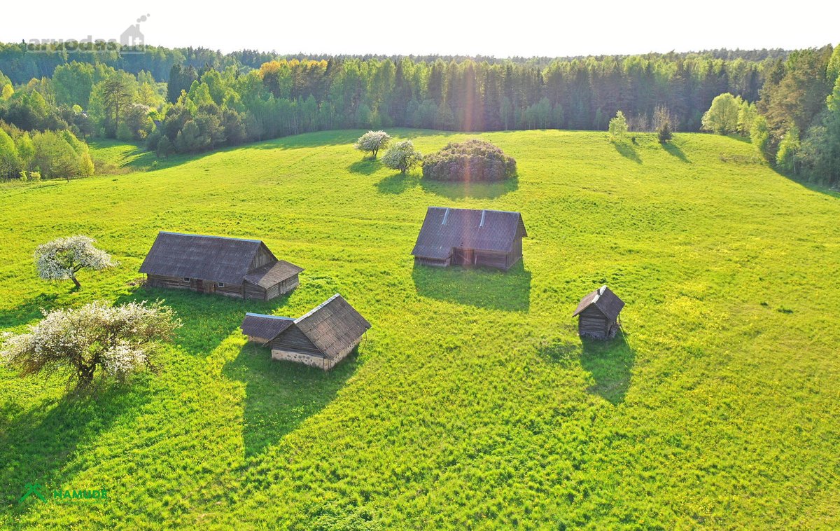 ? Parduodama jauki sodyba Zarasų rajone, - nuotraukos Nr. 7