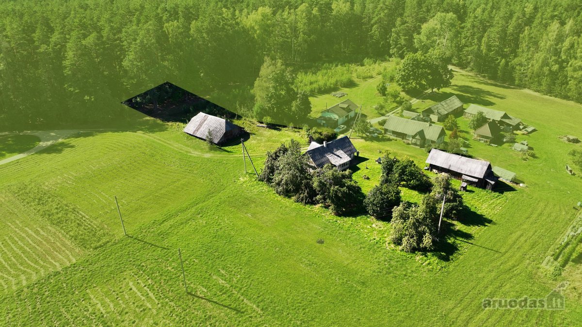 Parduodama jauki ir labai tvarkinga sodyba - nuotraukos Nr. 18