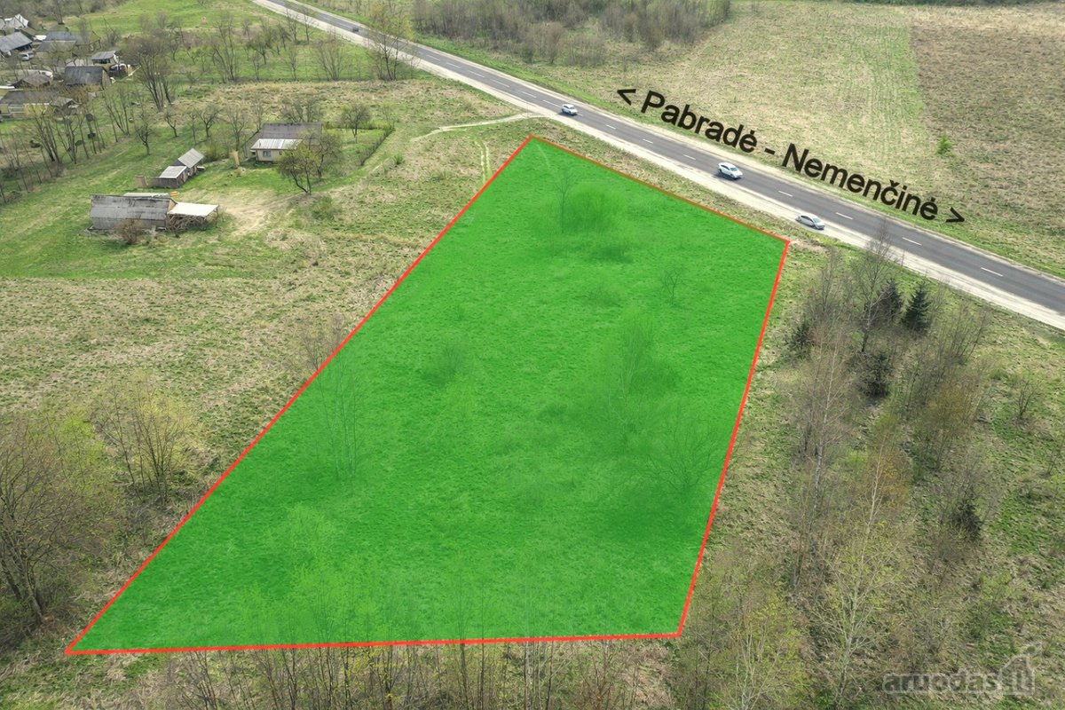 Pusiaukelėje tarp Nemenčinės ir Pabradės ( 10 - nuotraukos Nr. 2