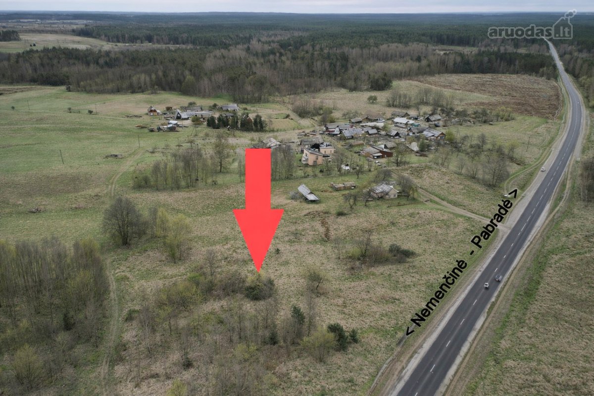 Pusiaukelėje tarp Nemenčinės ir Pabradės ( 10 - nuotraukos Nr. 3