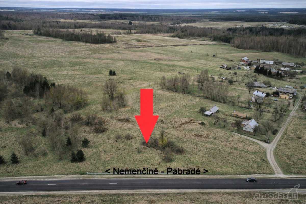 Pusiaukelėje tarp Nemenčinės ir Pabradės ( 10 - nuotraukos Nr. 4