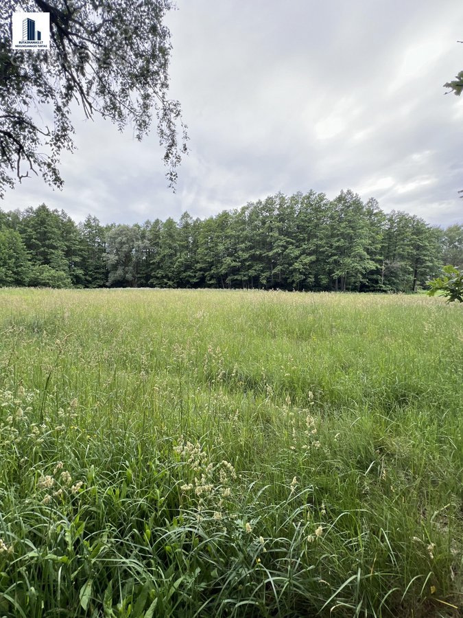 Suvalkijos miškų apsuptyje parduodama erdvi - nuotraukos Nr. 28