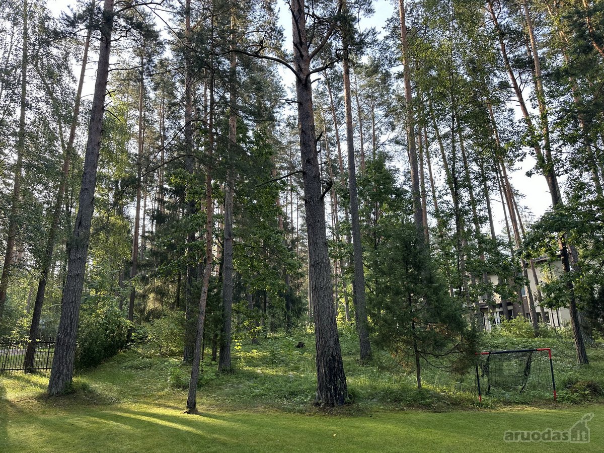 Namų valdos sklypas (parengtas detalusis - nuotraukos Nr. 10