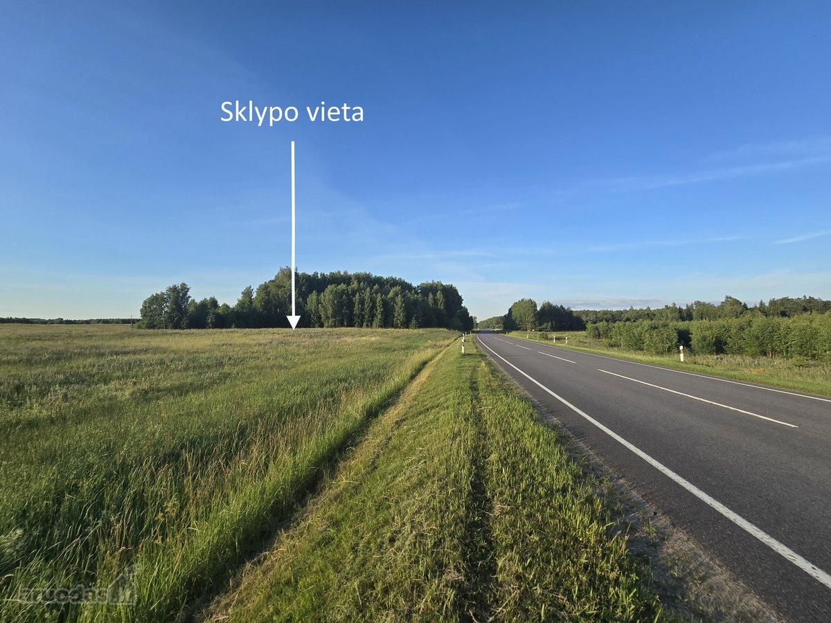 Vaizdingoje vietoje, šalia Vilniaus – - nuotraukos Nr. 2