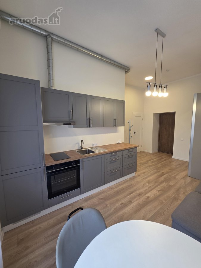 Puikiai Rengti Erdvūs Apartamentai - nuotraukos Nr. 4