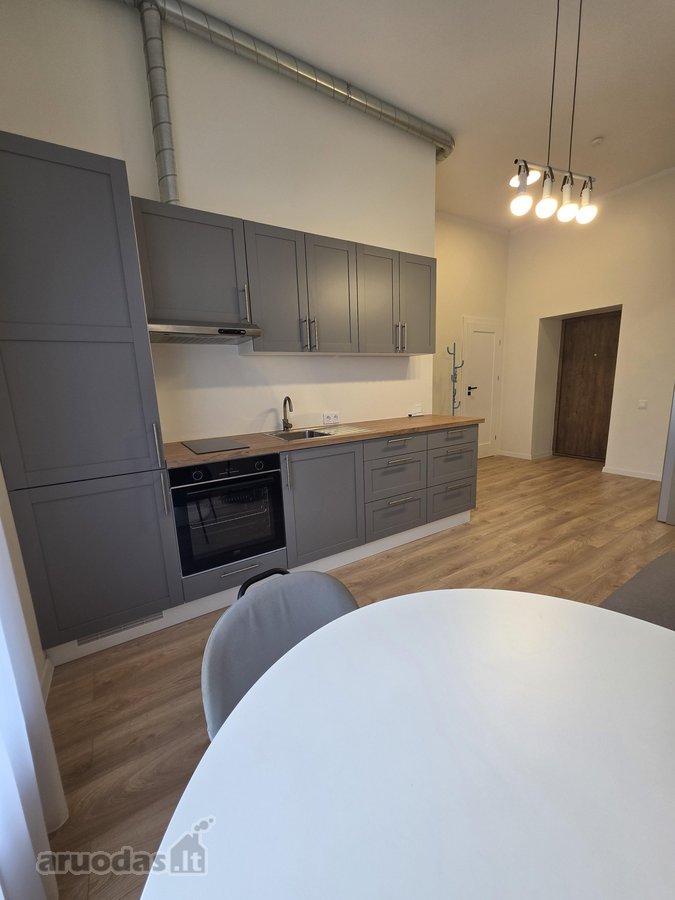 Puikiai Rengti Erdvūs Apartamentai - nuotraukos Nr. 6